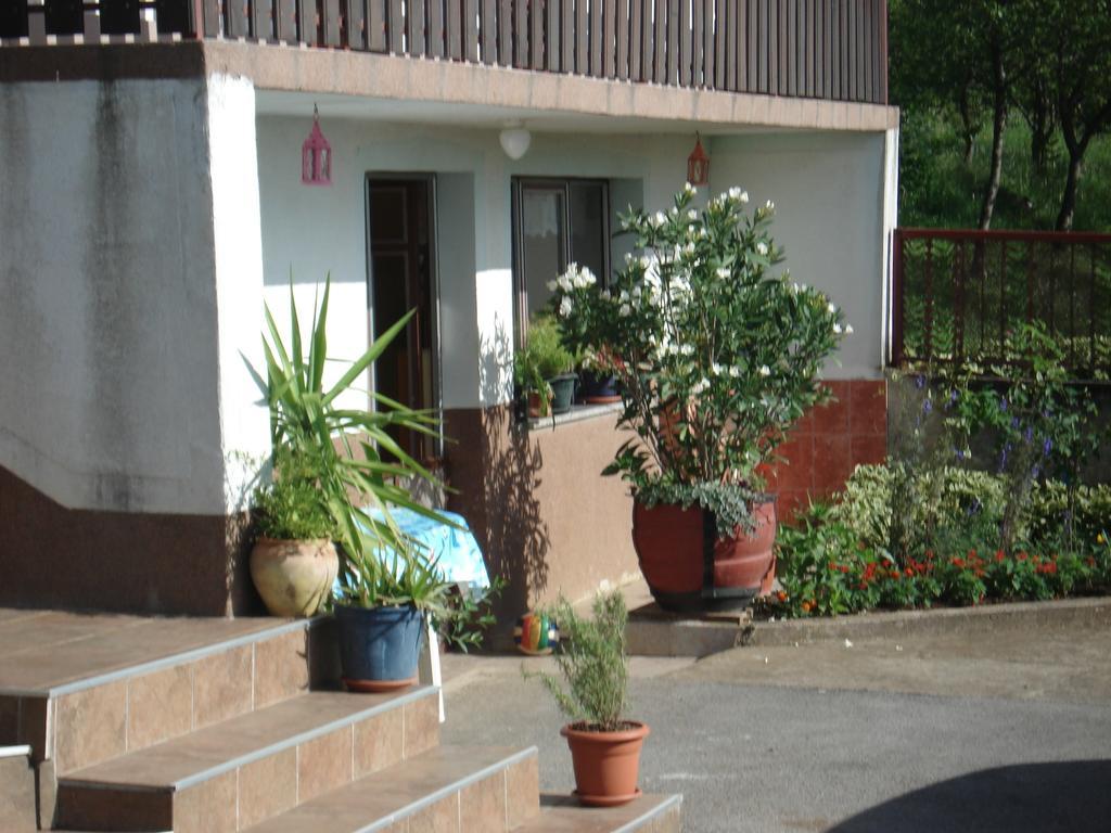 Rooms Marica Seliste Dreznicko Esterno foto